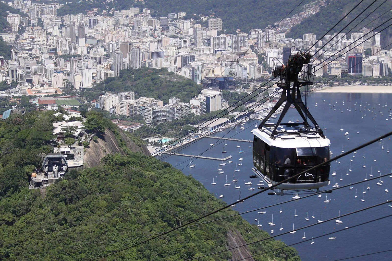 Rio de Aventura — Sugarloaf, BioParque & AquaRio