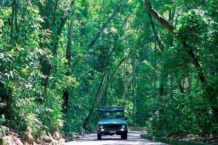 Tijuca Forest & Botanical Garden jeep tour